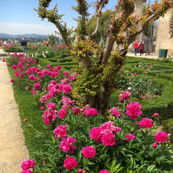 Meet your ⭐️ Posh Ambassador ⭐️ - Picture 2 of 3